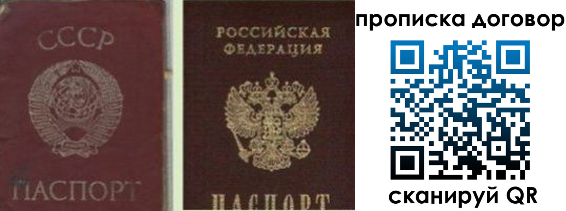 прописка гарантия в Поронайске